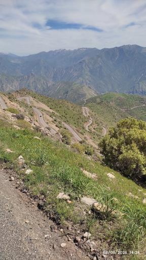 عکس نوسود
