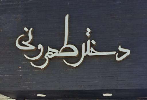 عکس کیف و کفش دختر طهرونی