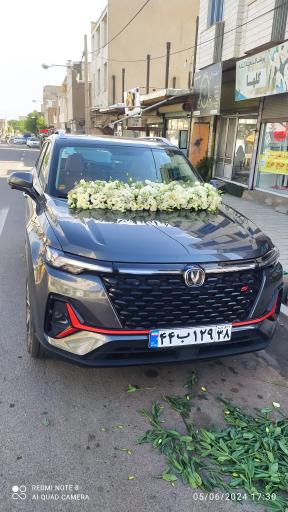 عکس گلسرای رزلند