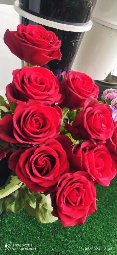 عکس گلسرای رزلند