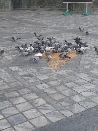 عکس بست پایین خیابان