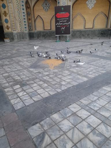 عکس بست پایین خیابان