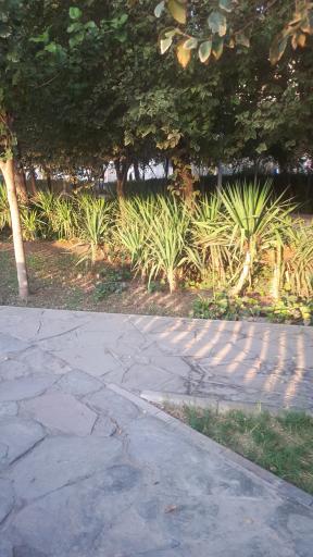 عکس بوستان مطهری