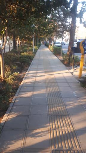 عکس بوستان مطهری