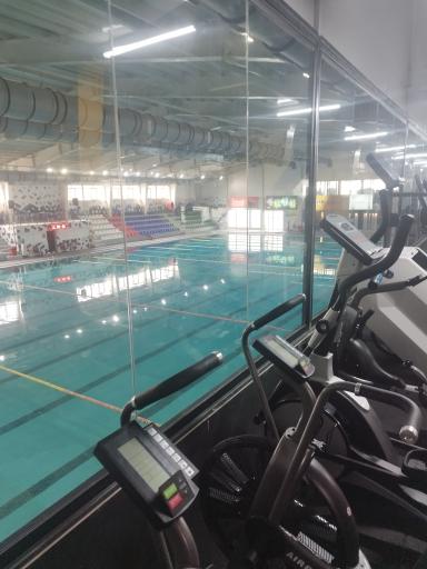 عکس باشگاه بدنسازی اکسین