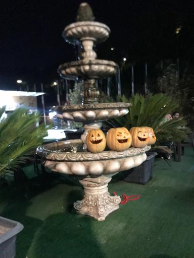 عکس کافه رستوران آنام