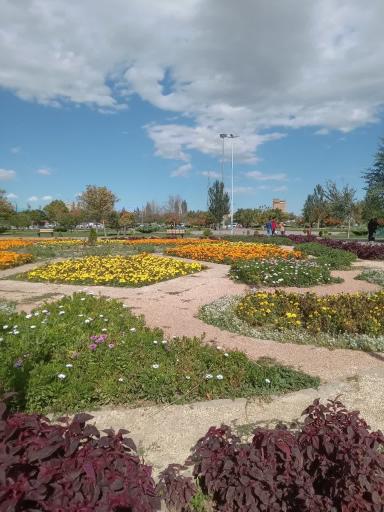 عکس باغ گل محلاتی