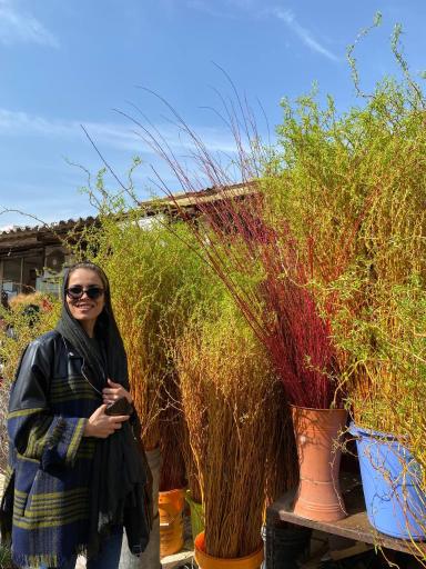 عکس باغ گل محلاتی