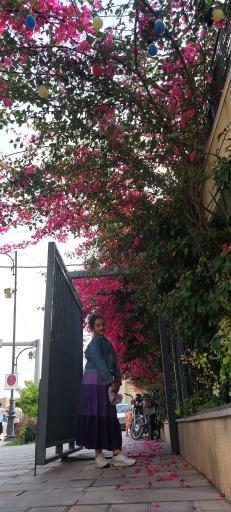 عکس رستوران صوفی