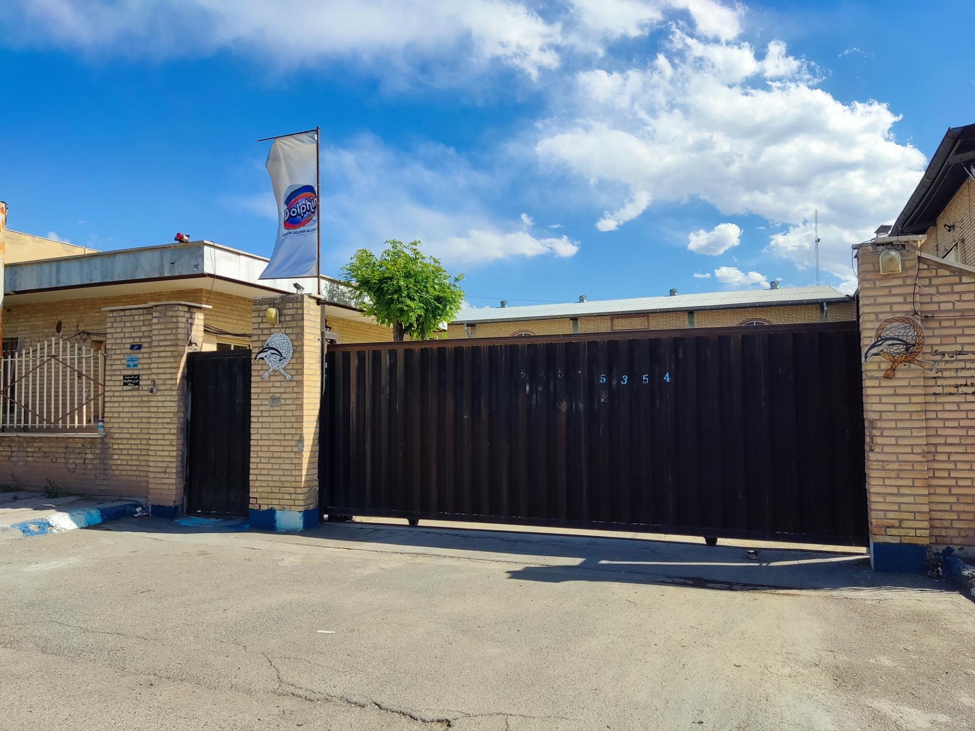 عکس پرشین دلفین نیلگون