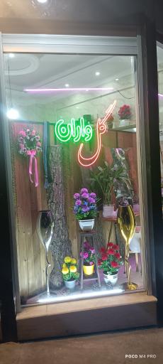 عکس مستر گل واران