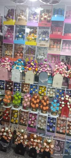 عکس مستر گل واران