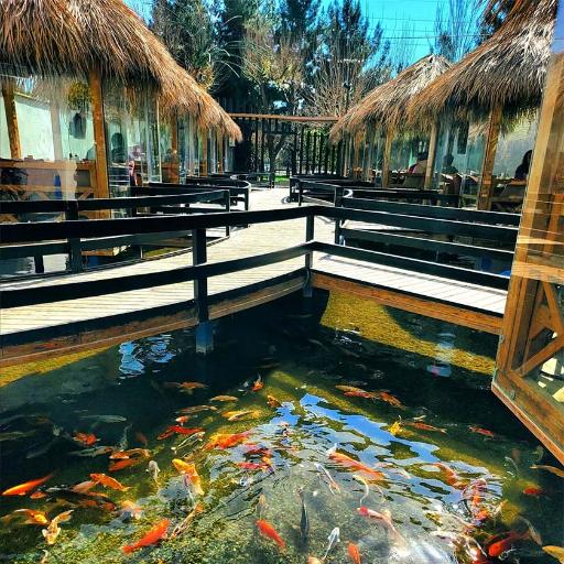 عکس رستوران و کافه آکواریومی برکه