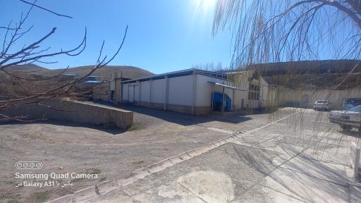 عکس کارخانه پنیر سازی نادری 