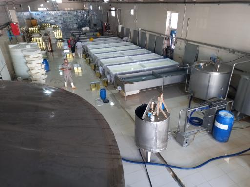 عکس کارخانه پنیر سازی نادری 