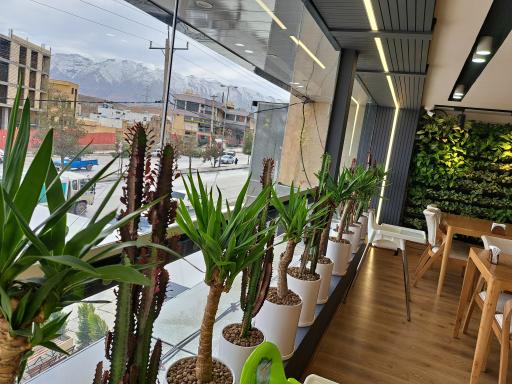 عکس کافه فست فود ونتی 