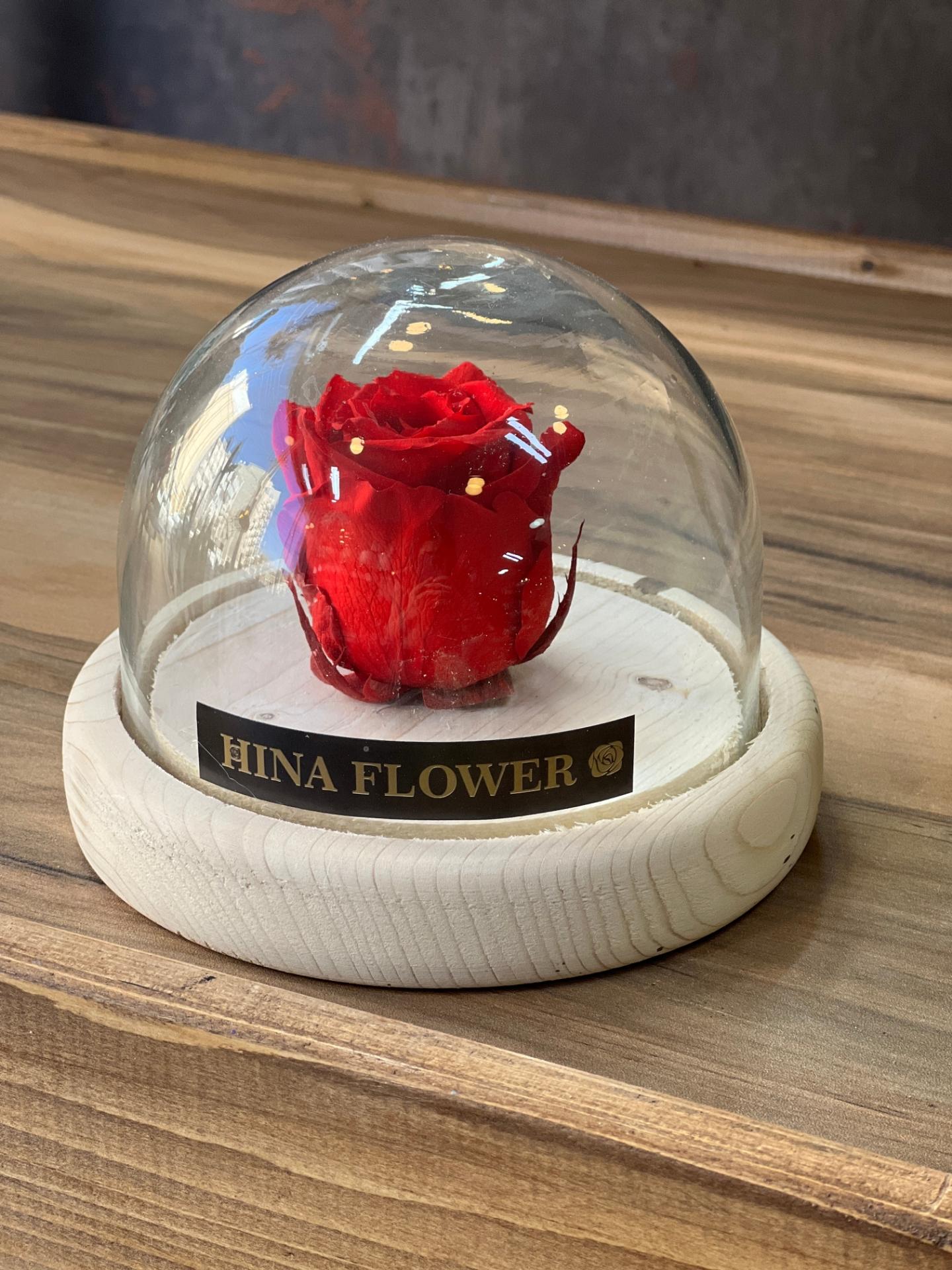 عکس هینا گل 