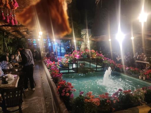 عکس کافه فیل