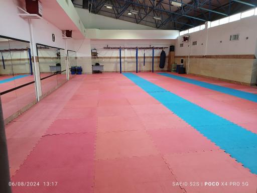 عکس مجموعه ورزشی امام رضا