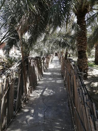 عکس موزه محلی تاس و کپل