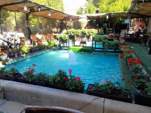 عکس کافه فیل