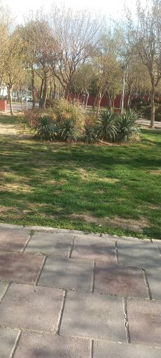 عکس بوستان ماهور