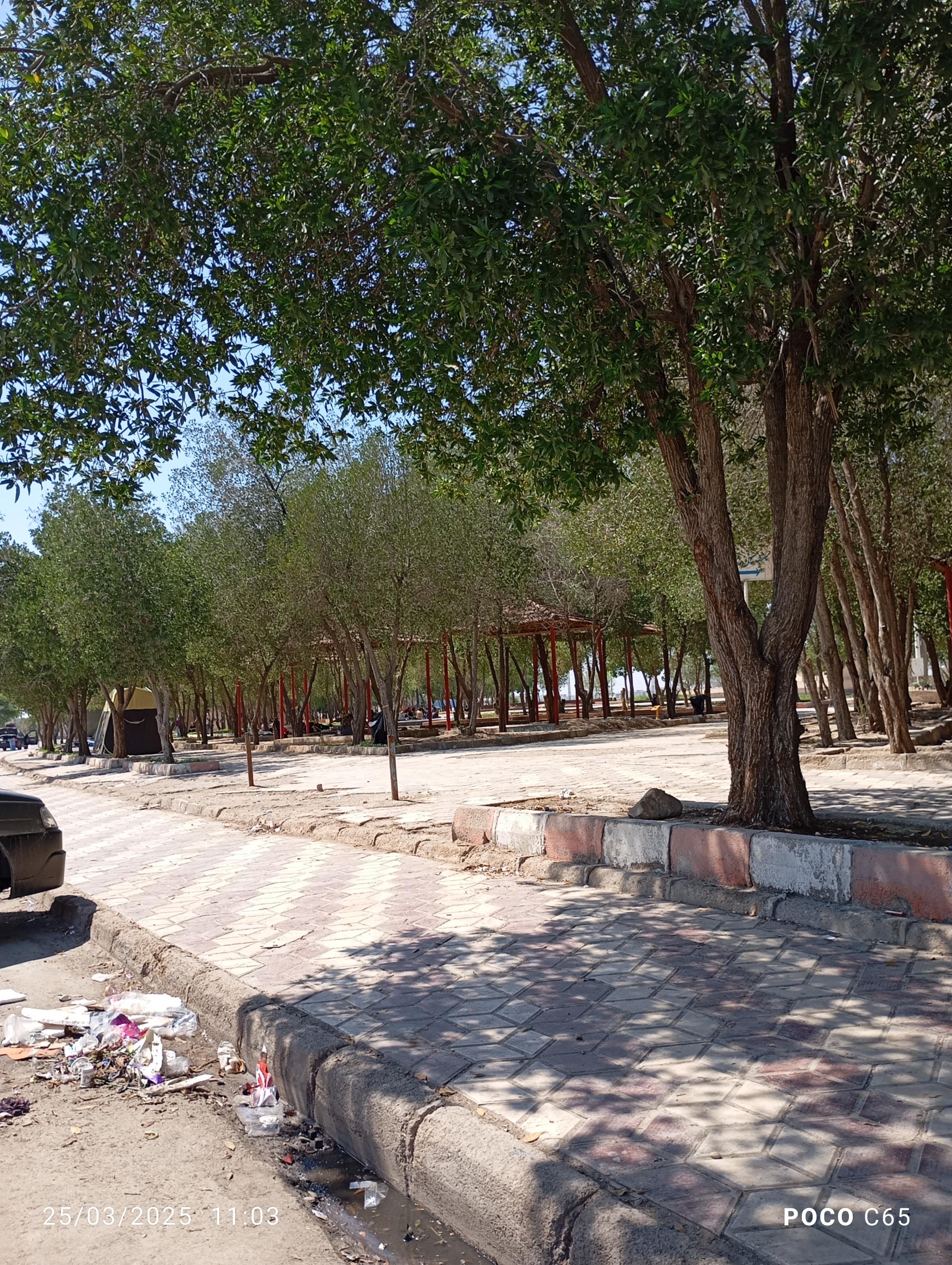 عکس بوستان ملت