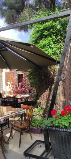 عکس کافه فیل