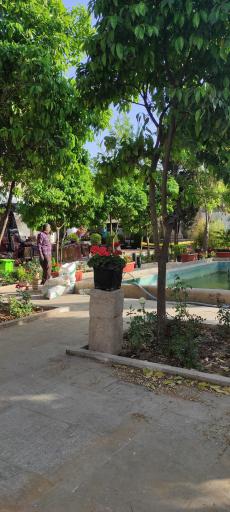 عکس کافه فیل