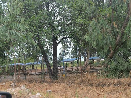 عکس پارک ساحلی سی سنگان