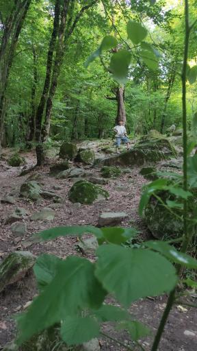 عکس سفید چشمه