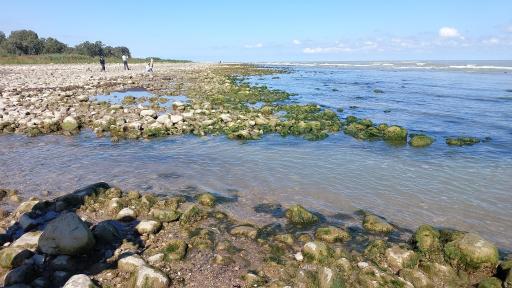 عکس پارک ساحلی سی سنگان