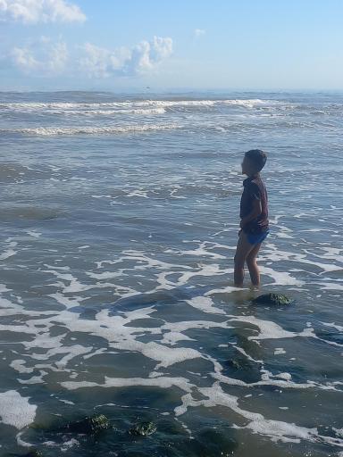 عکس پارک ساحلی سی سنگان