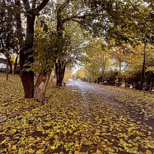 عکس دانشگاه فرهنگیان پردیس شهید چمران