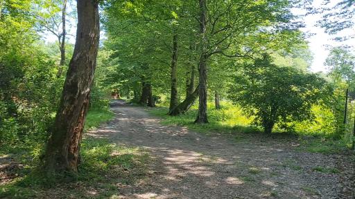 عکس پارک ساحلی سی سنگان