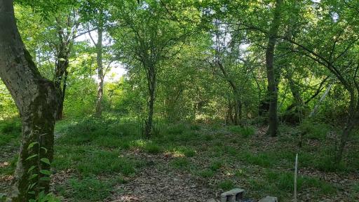 عکس پارک ساحلی سی سنگان