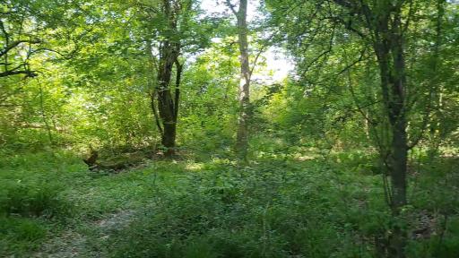 عکس پارک ساحلی سی سنگان