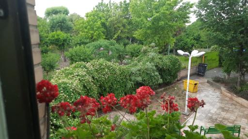 عکس بوستان ماهور