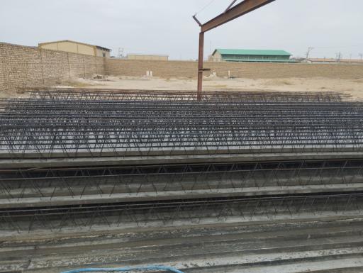 عکس تیرچه سها کویر کاشان