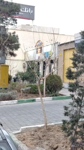 عکس آزمایشگاه دانا