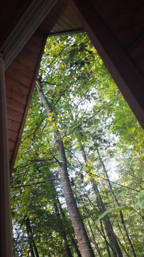 عکس رستوران دو برادران