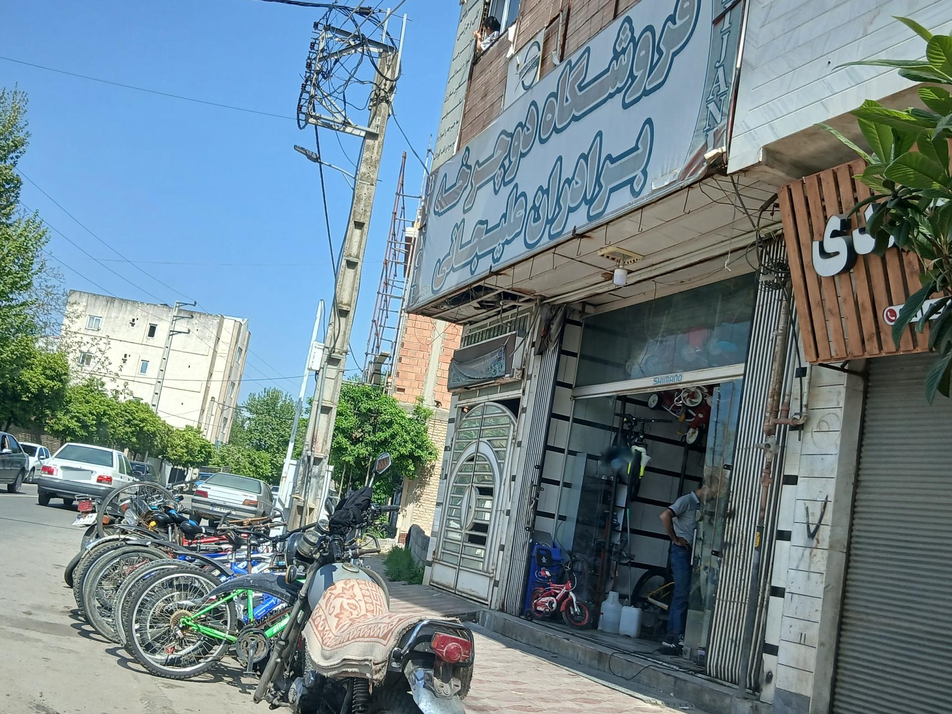 عکس فروشگاه دوچرخه برادران علیجانی