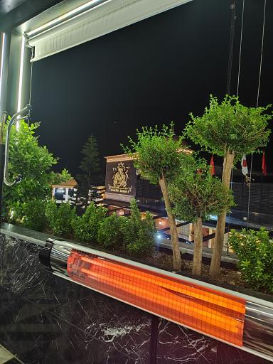 عکس رستوران نارون