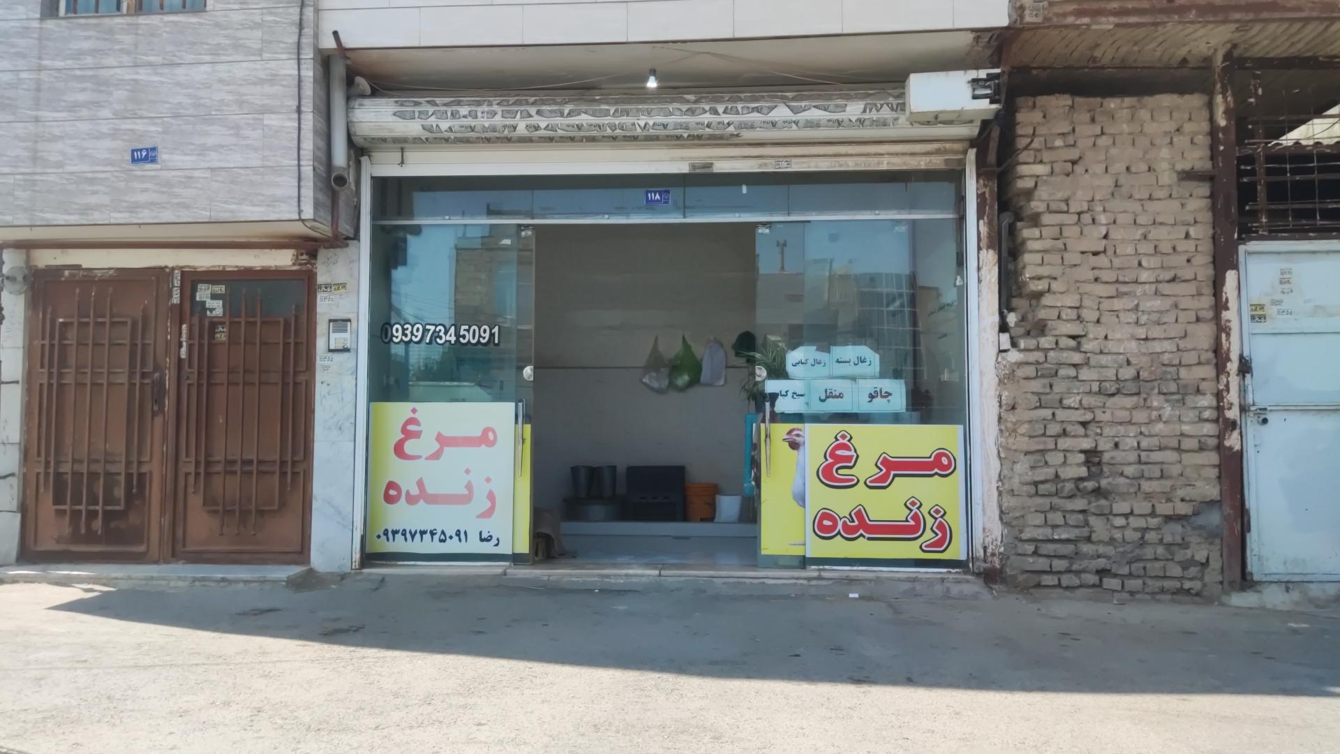 عکس مرغ زنده رضا 