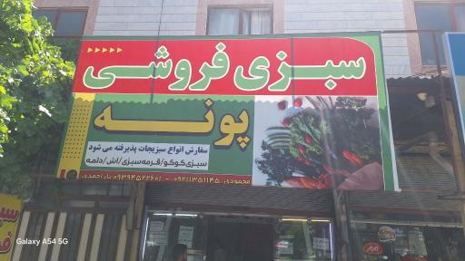 عکس سبزی فروشی پونه