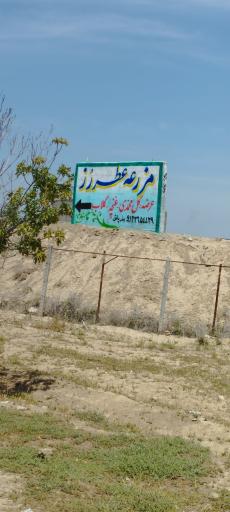 عکس مزرعه عطر رز