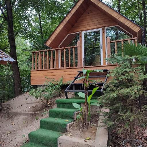 عکس رستوران دو برادران