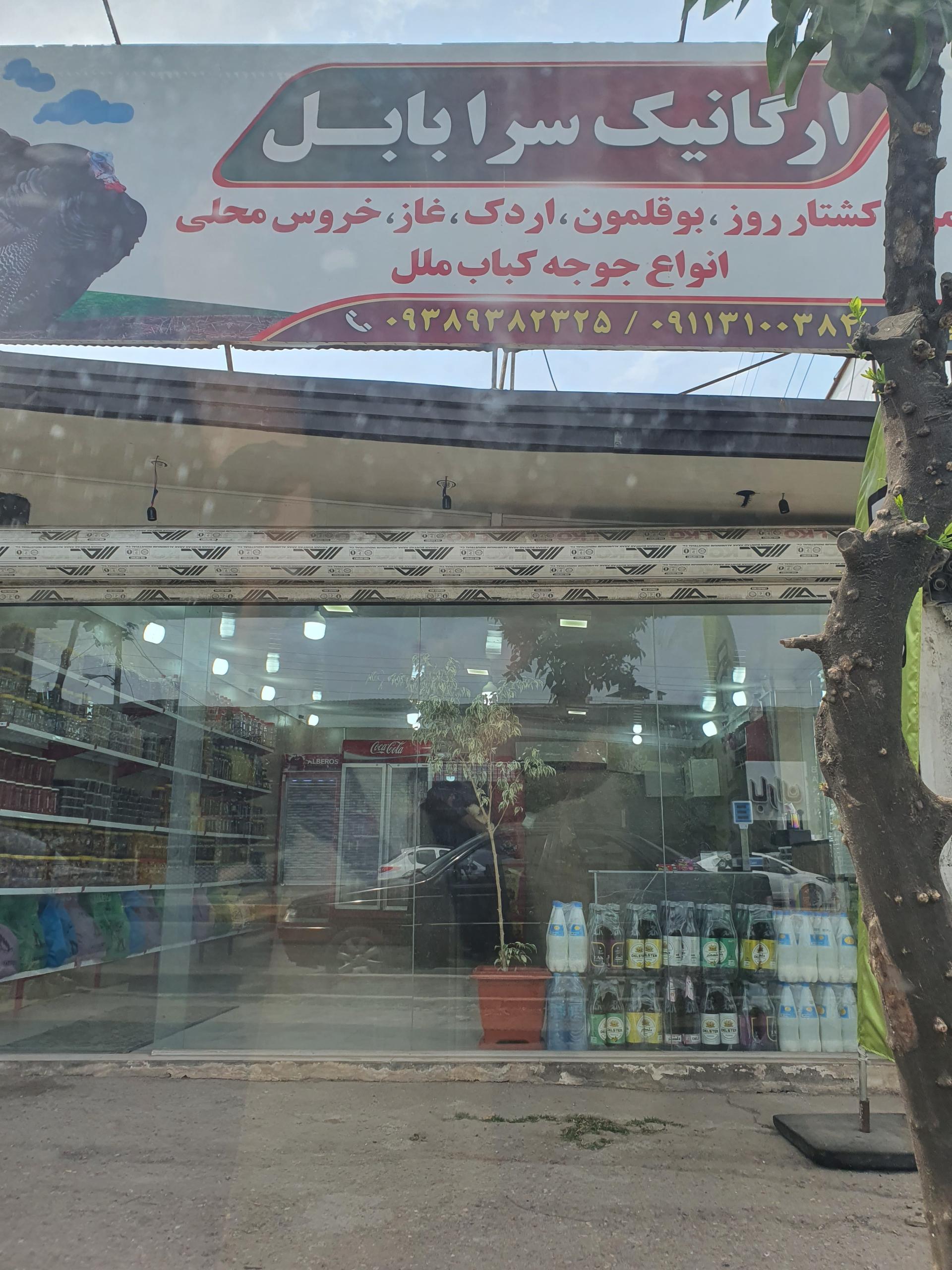 عکس ارگانیک سرای بابل