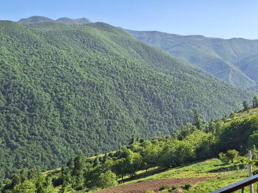 عکس علی آباد کتول