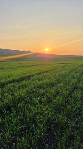 عکس علی آباد کتول